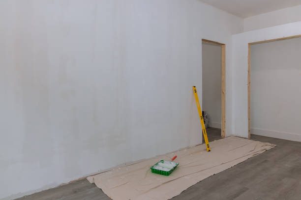 Best Environmental Consulting for Mold Prevention  in Mack, OH
