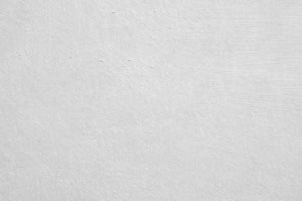 Best Black Mold Removal  in Mack, OH