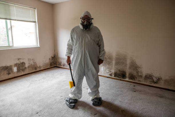 Best Mold Remediation for Vacation Homes  in Mack, OH