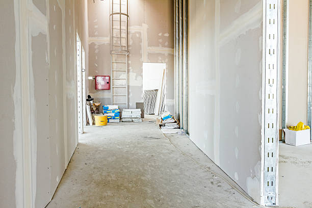 Best Air Quality Testing for Mold Spores  in Mack, OH