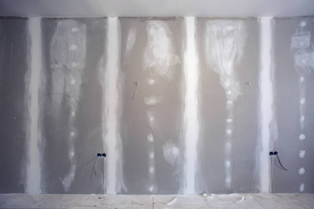 Best Forensic Mold Investigation  in Mack, OH